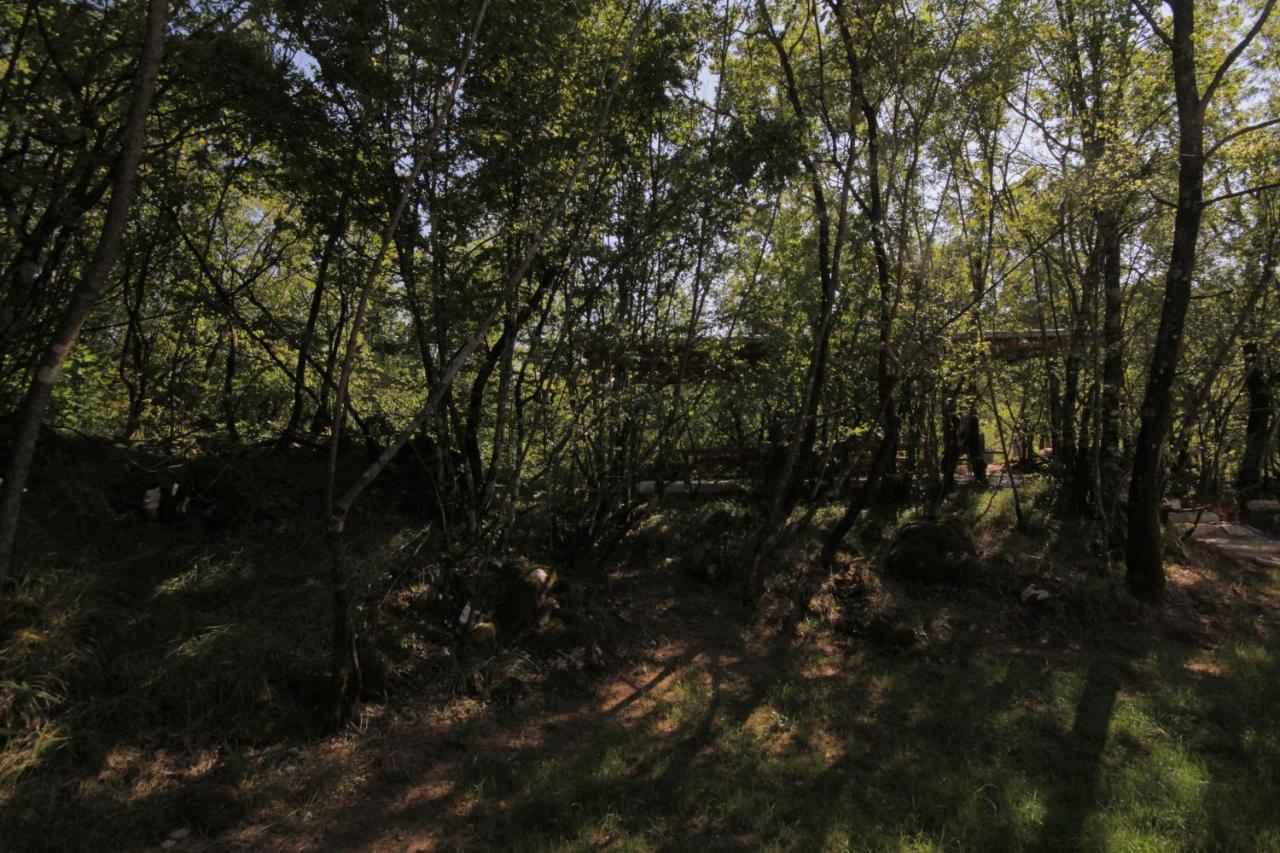 Vukova Dolina Apartments Cetynia Zewnętrze zdjęcie